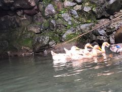 -藏龙百瀑漂流