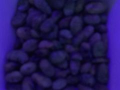 -潮歌KTV(长江北路店)