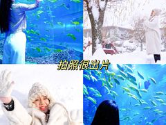 -威海华夏城景区