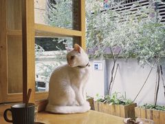 -懒鱼时光馆(沙坪坝店)