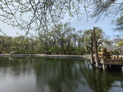 -黑龙江省森林植物园