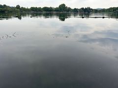 -西湖游船