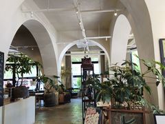 -长春藤咖啡(北园店)