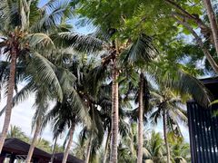 -石梅湾艾美度假酒店