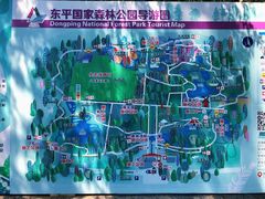 -东平国家森林公园