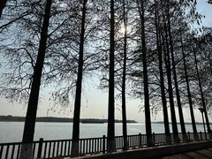 -太阳岛旅游度假区
