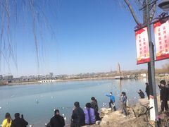 景点-海宝公园