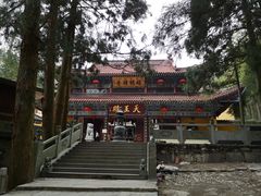 -东天目山风景区