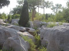 -原山国家森林公园