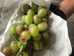 -马陆小张葡萄园农家乐