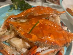 -三玛璐酒楼(汉口路店)