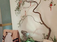 -小厨娘淮扬菜(龙湾天街店)