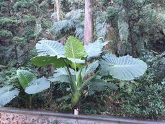 -安溪清水岩