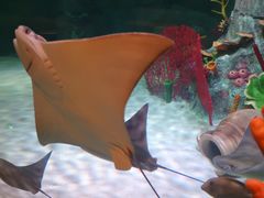 -沈阳海洋探索中心