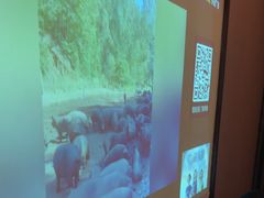 -和子足浴SPA会馆(东方之门店)