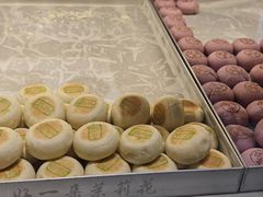 -好一朵茉莉花(老门东店)