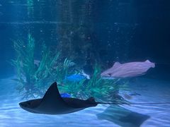 -沈阳海洋探索中心