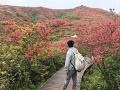 -大围山国家森林公园