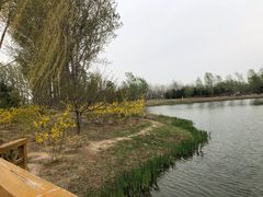 -东郊湿地公园
