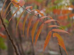 -天津东丽湖风景区