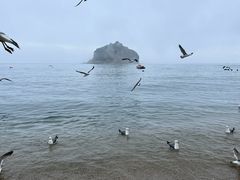 -棒棰岛宾馆景区