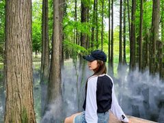-东湖落雁景区