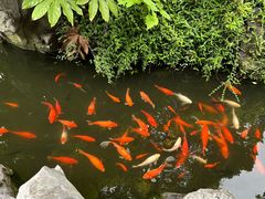 -南京市民俗博物馆(甘熙故居)