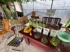 -马陆小张葡萄园农家乐