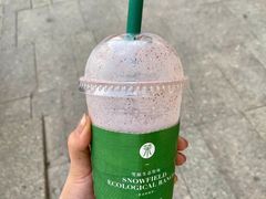 -茉酸奶(广西北路店)