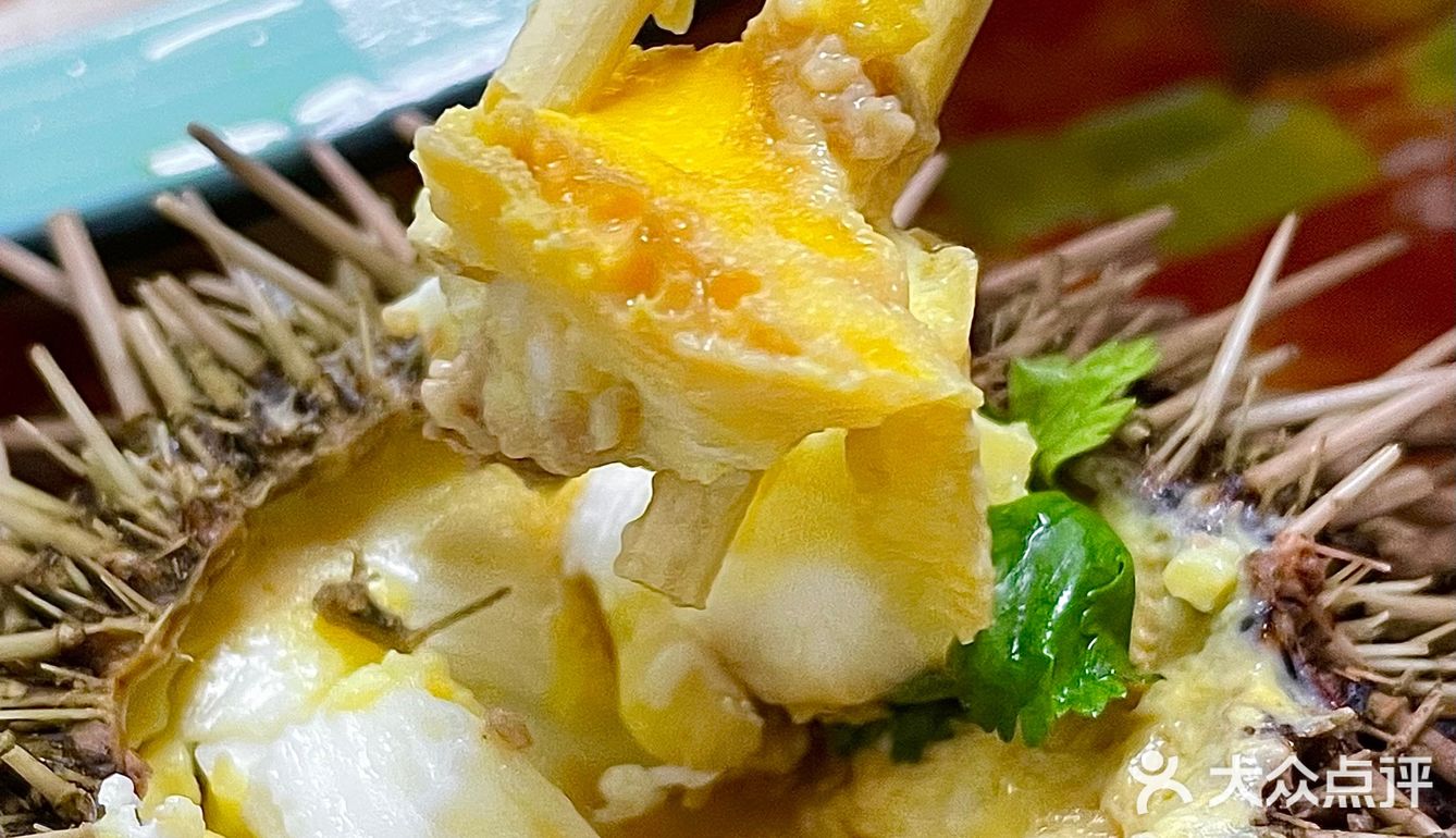 现在青岛的海蛎子🦪这么肥吗⁉️开了8年的啤酒屋