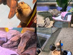-顺德南宏海立方海洋公园