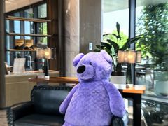 -东方美谷JW万豪酒店·The lounge大堂吧