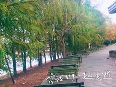 -上海海湾国家森林公园