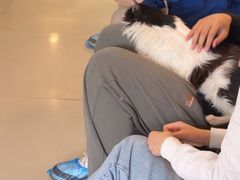 -平行世界·猫咖(首经贸店)