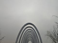 -大兴滨河森林公园