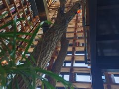 -Maan coffee漫咖啡(1905店)