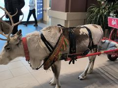 -王府井奥莱棋盘山小镇