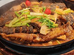 -老板恋上鱼(印象城店)