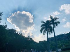 -李宁体育园
