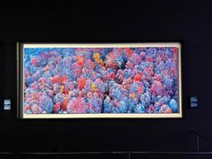 -罗红摄影艺术馆