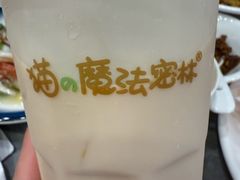 -猫的魔法密林(衣裳街店)