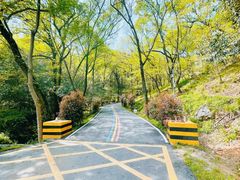 -老山国家森林公园