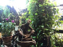 -自然餐厅(Phuket)