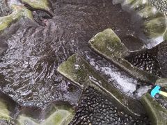 -成都市活水公园