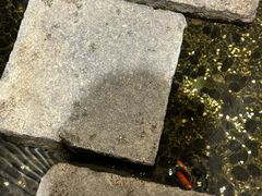 -邈墨茶馆(凤起路店)