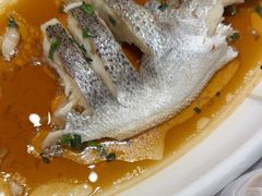 -新雅粤菜馆(南京东路店)