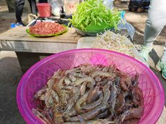 -南宁良凤江国家森林公园