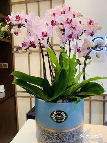 自从搬迁到惠南，家附近的一家美容店，先感受了一下