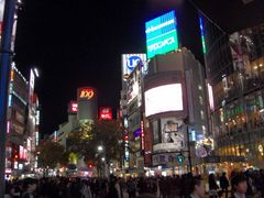 -涩谷区