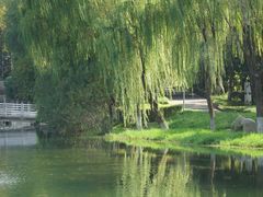 -后襄河公园
